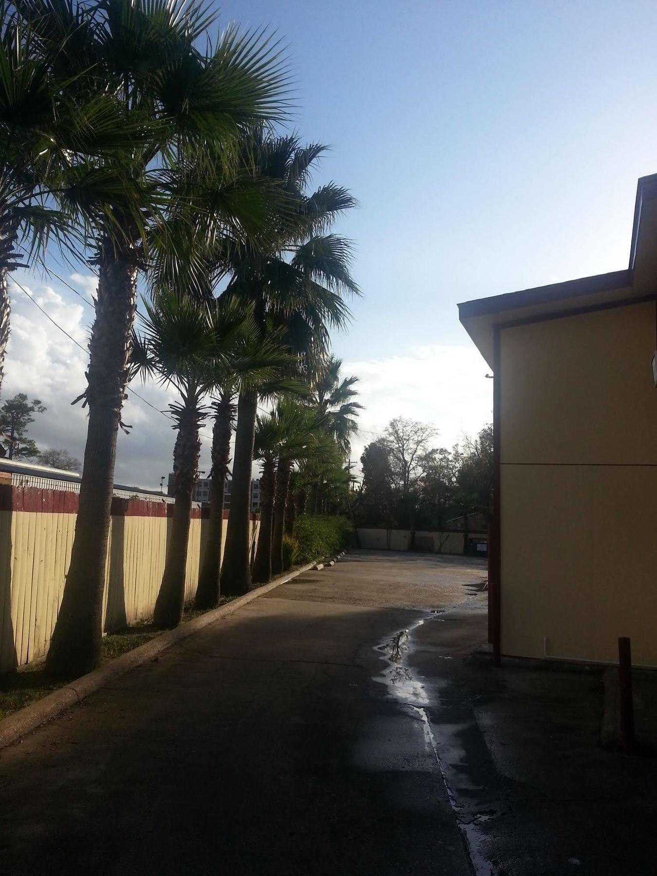 Southmore Motel Houston Extérieur photo